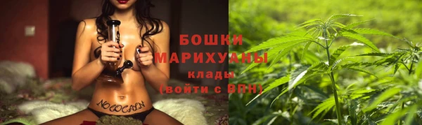 бошки Алексеевка
